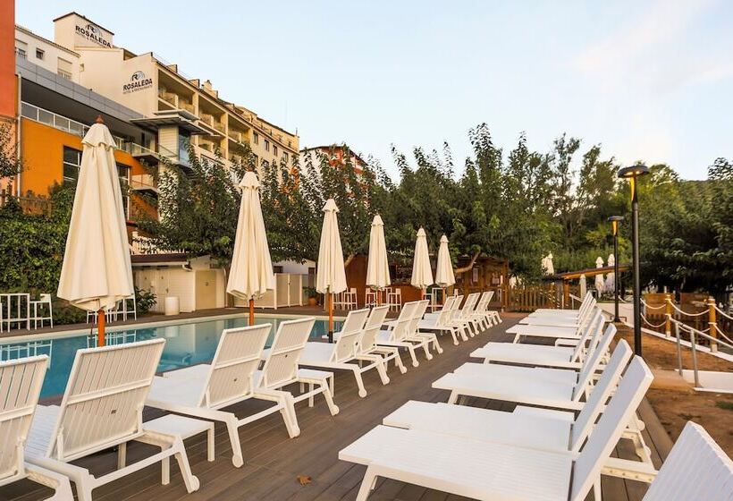 בית מלון כפרי Rosaleda Del Mijares