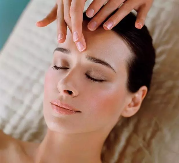 בית מלון כפרי Melia Castilla