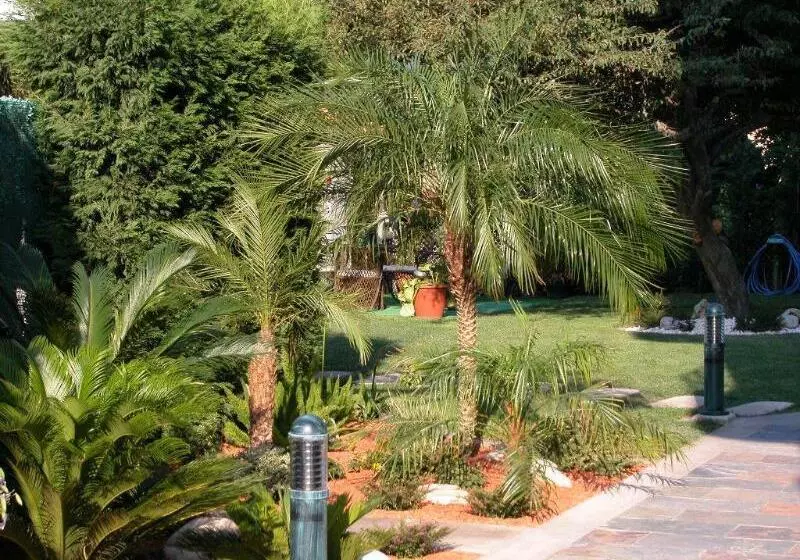 Hotel Piñeiro 2 Estrellas Superior