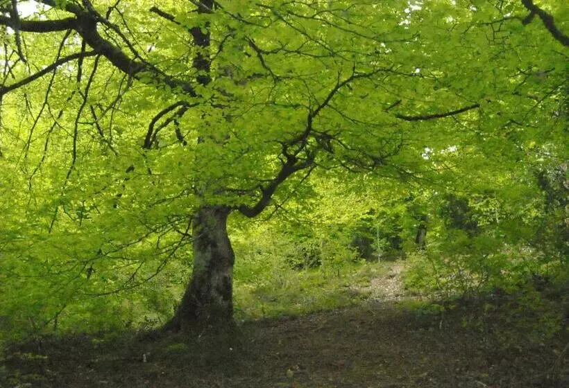 田舎風ホテル Rural Loizu