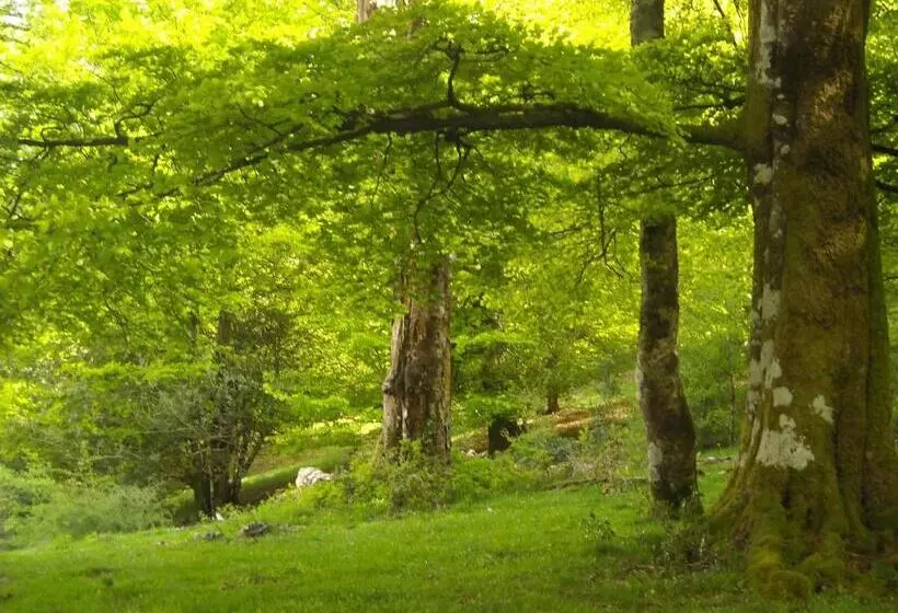 田舎風ホテル Rural Loizu