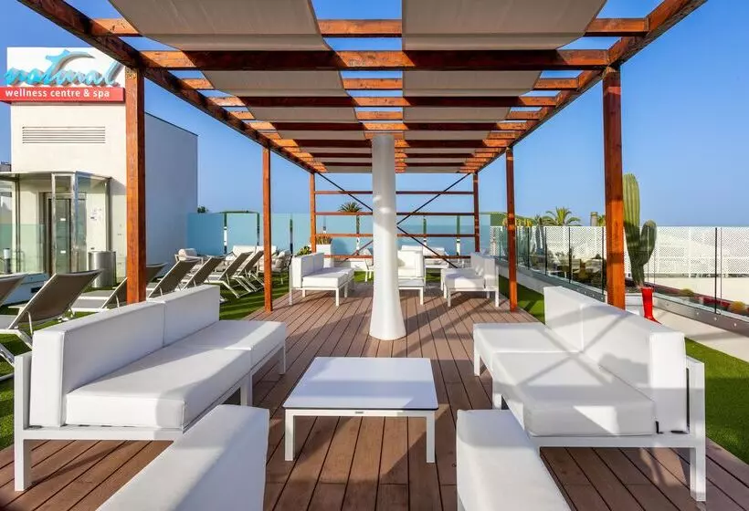 Alexandre Hotel Gala