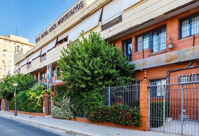 Aacr Hotel Monteolivos