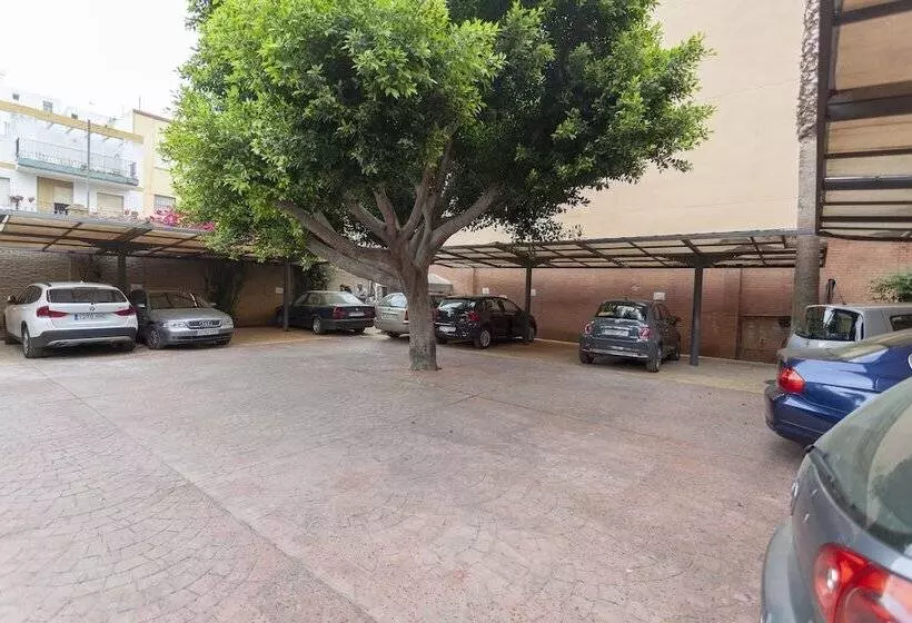 Aacr Hotel Monteolivos