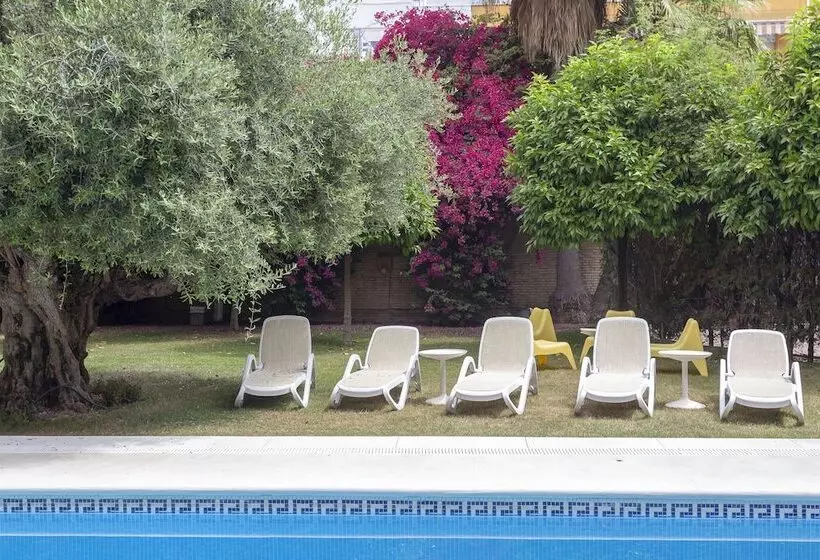 Aacr Hotel Monteolivos