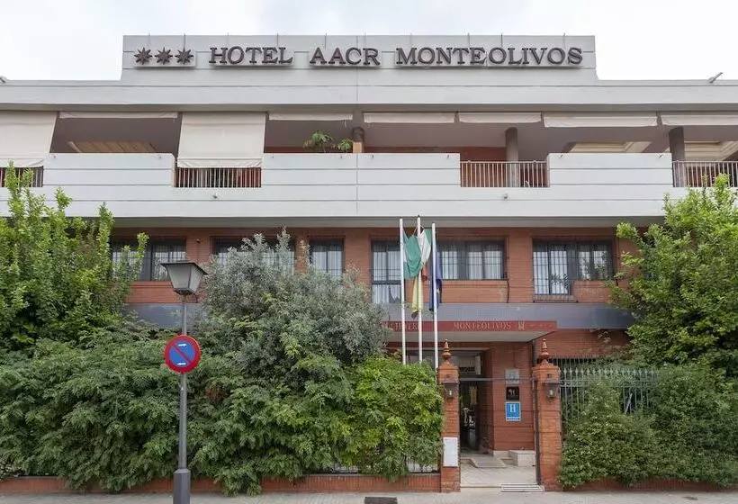Aacr Hotel Monteolivos