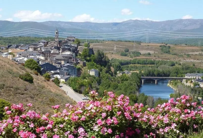 فندق Hostal Carlos V