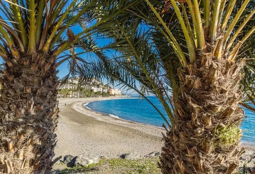 酒店 Hostal Tropical