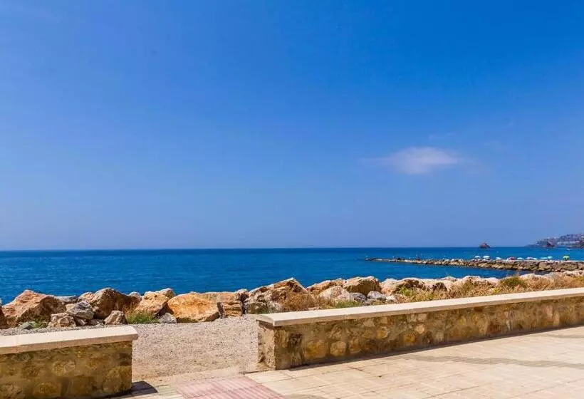 酒店 Hostal Tropical