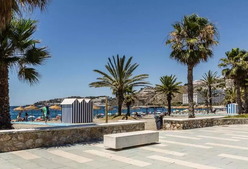 酒店 Hostal Tropical