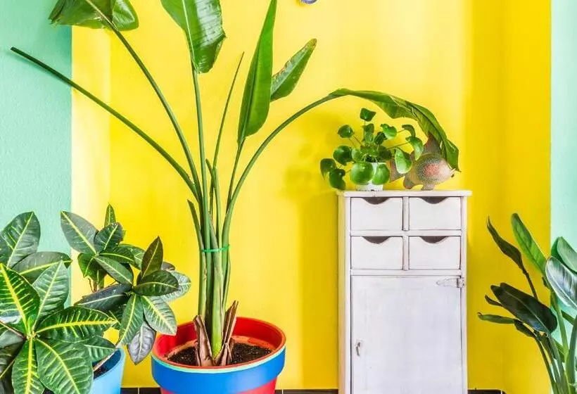 酒店 Hostal Tropical