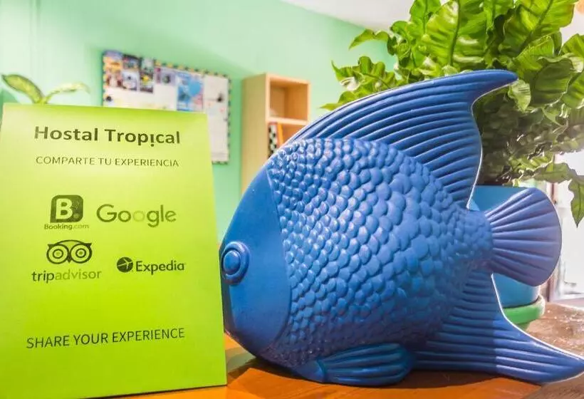 酒店 Hostal Tropical