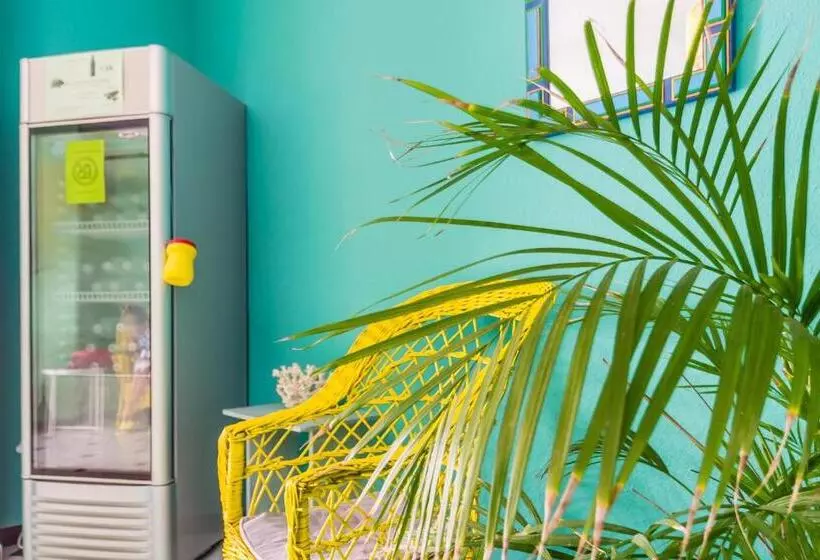 酒店 Hostal Tropical