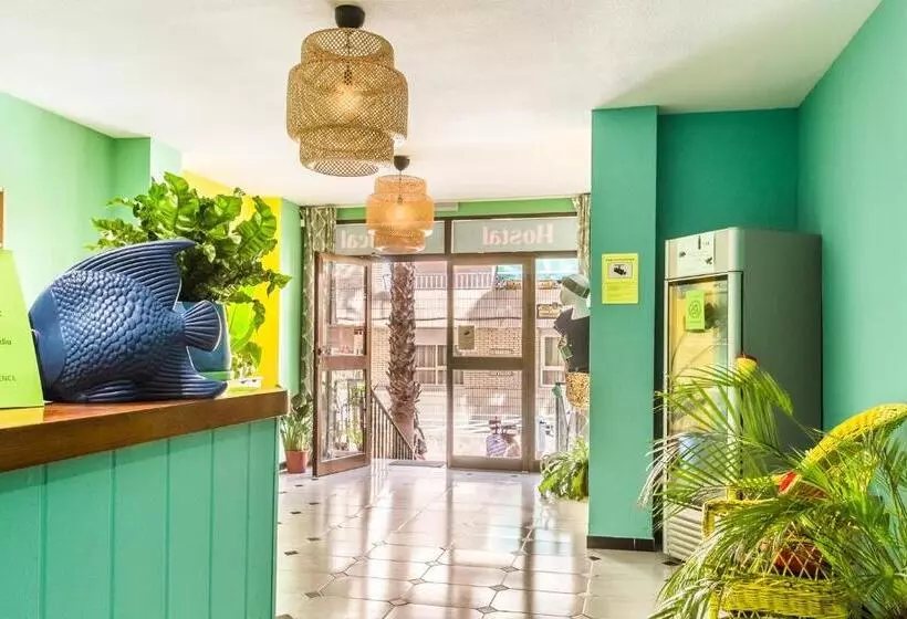 酒店 Hostal Tropical