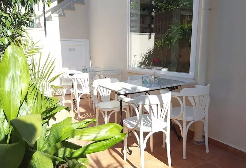 Hotelli Creta Paguera