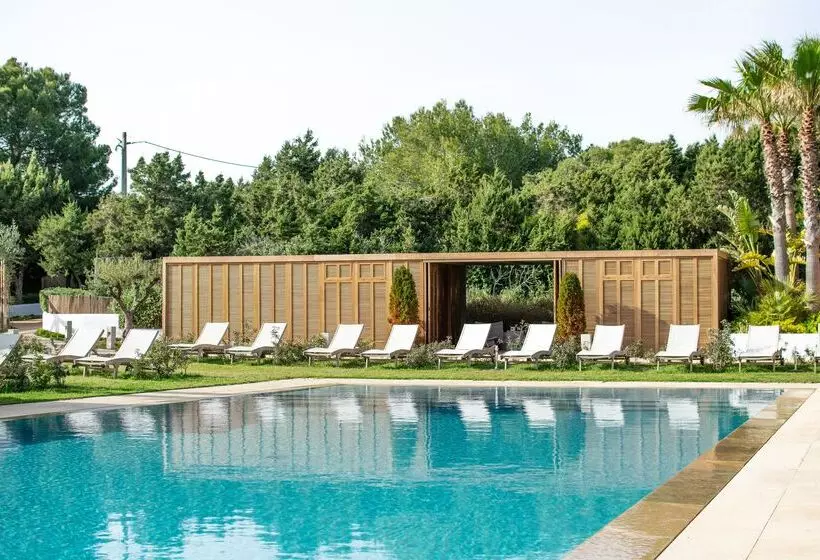 Gecko Hotel & Beach Club, A Small Luxury Hotel Of The World