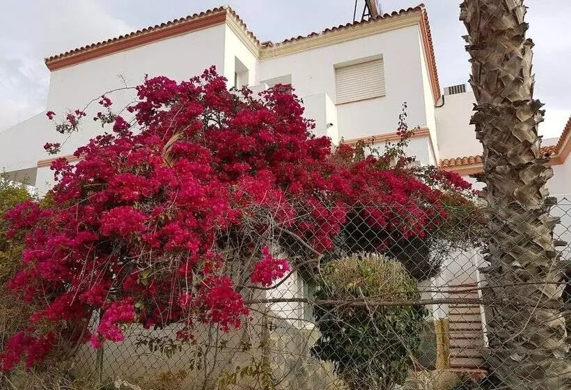 Отель Hostal Manolo