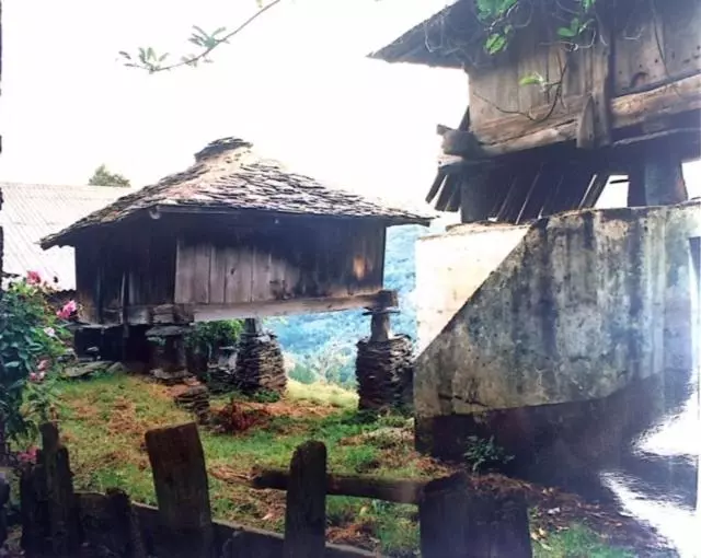 فندق Nueva Allandesa