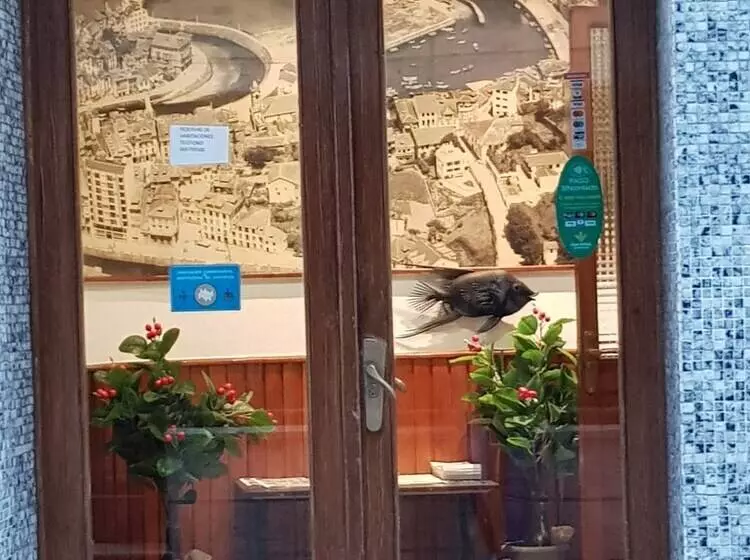 فندق Pensión Oria