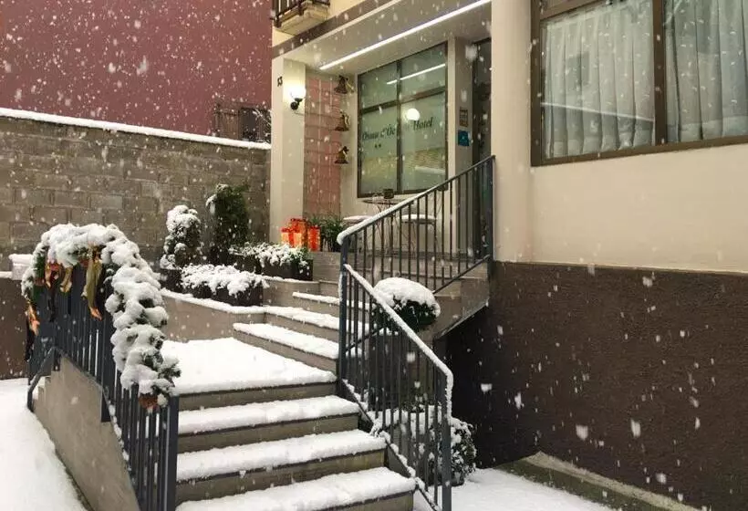 בית מלון כפרי Ostau D òc