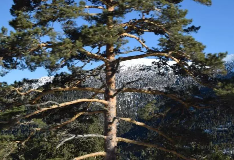 田舎風ホテル Rural Marcos