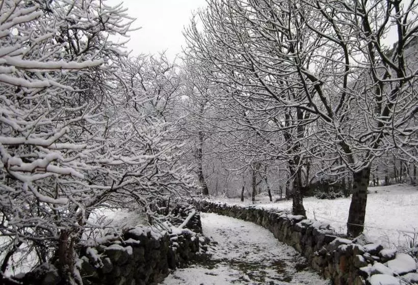 Пансион Pensio La Creu