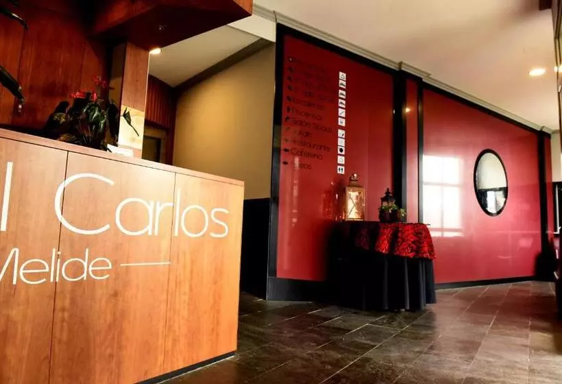 酒店 Carlos 96