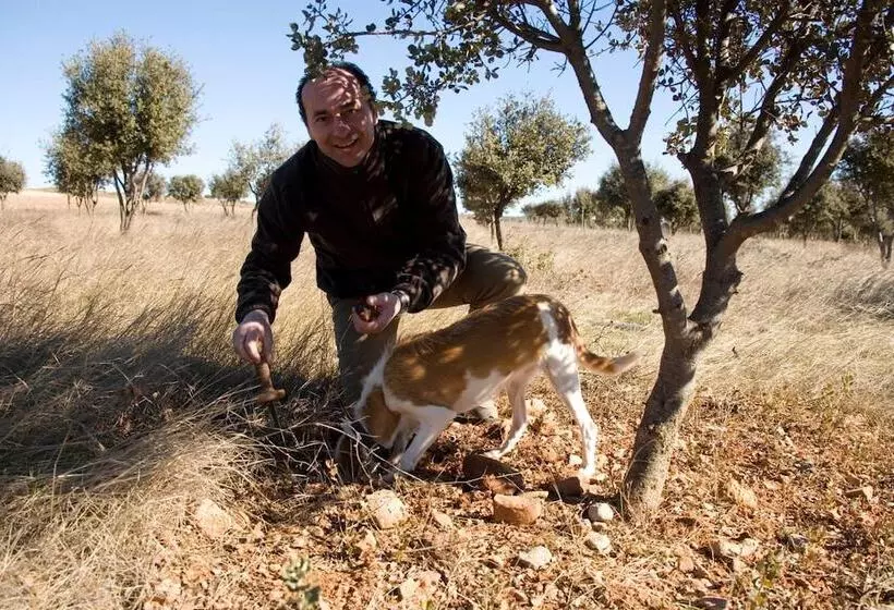 Отель Los Leones Adults Only