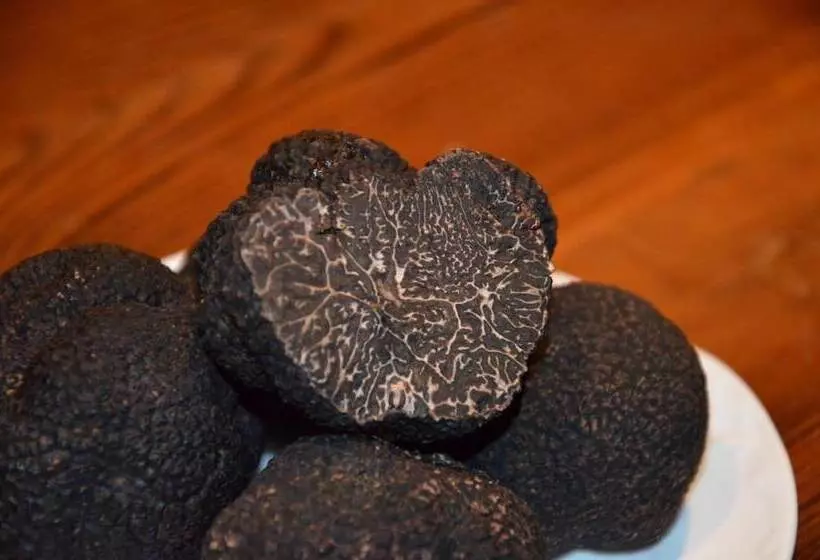 Отель Los Leones Adults Only