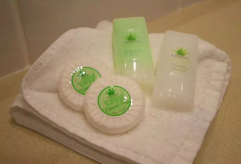 Albury Paddlesteamer Motel