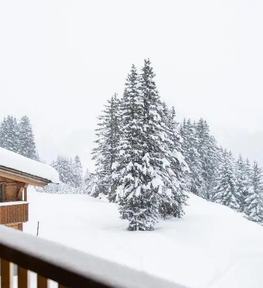 هتل & Chalet Montana