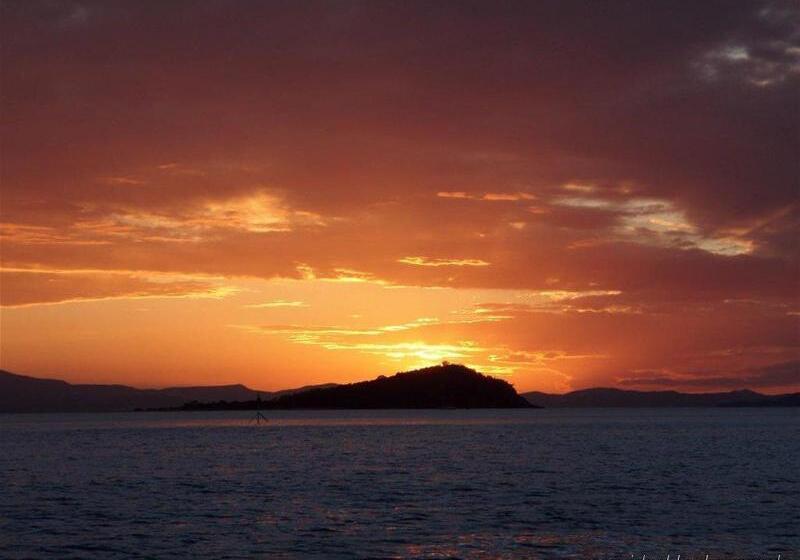 בית מלון כפרי Colonial Palms Motor Inn