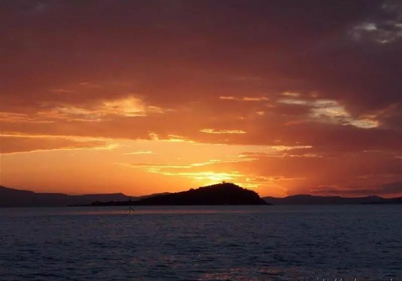 فندق Colonial Palms Motor Inn