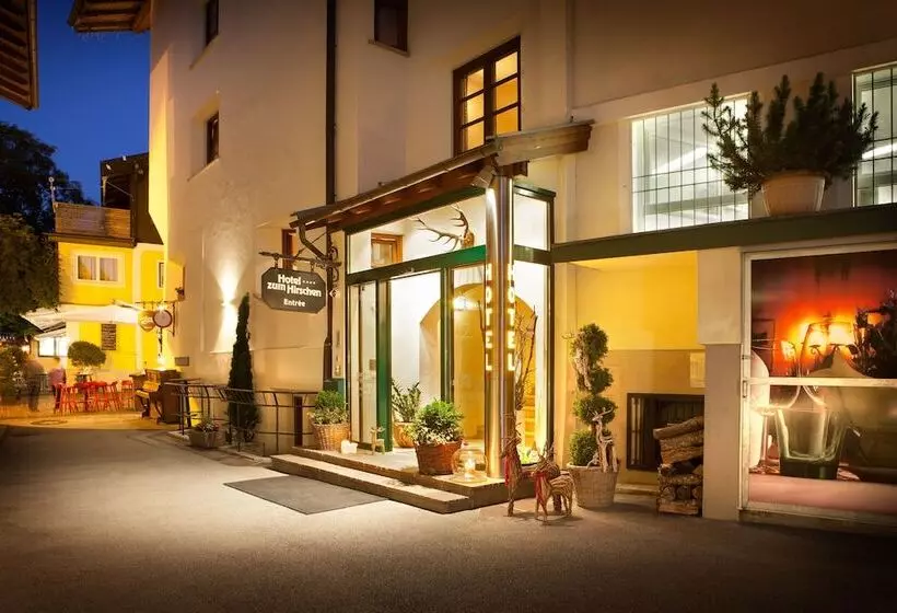 酒店 Zum Hirschen