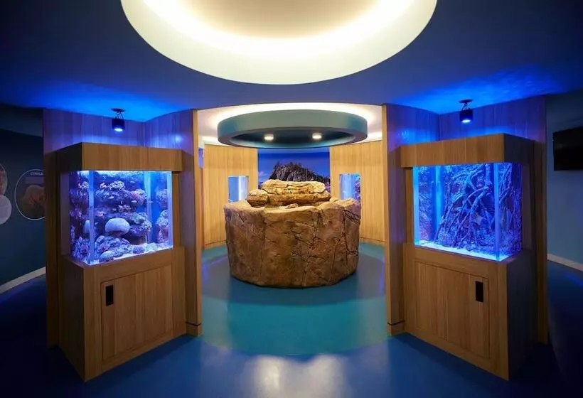 Daydream Island Resort