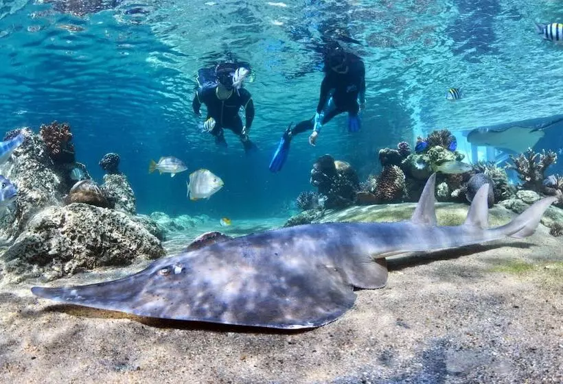 Daydream Island Resort