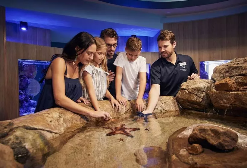 Daydream Island Resort