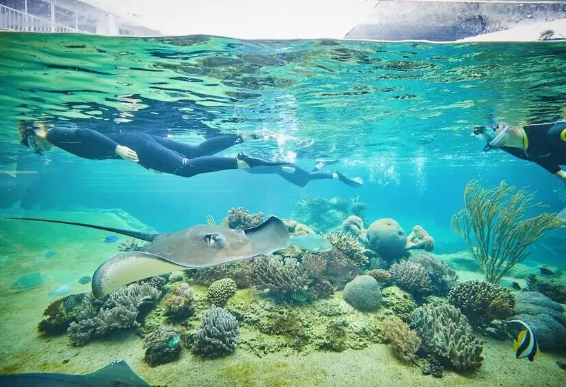 Daydream Island Resort