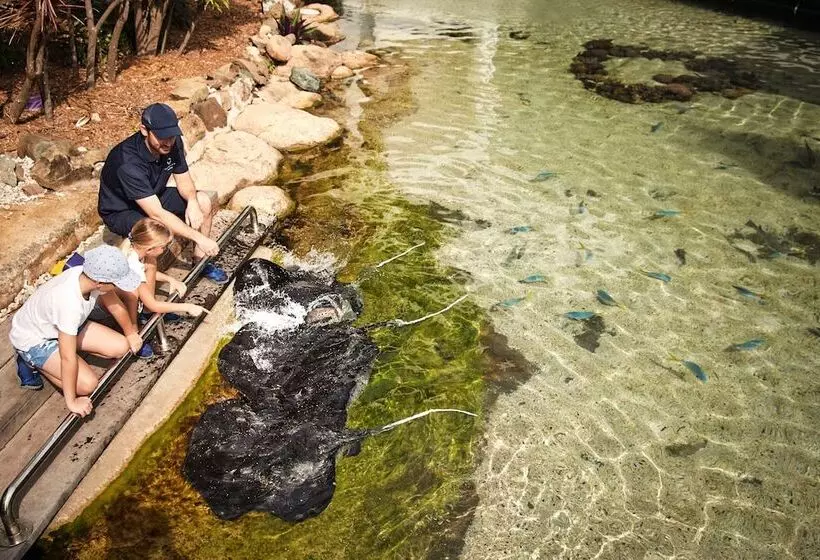 Daydream Island Resort