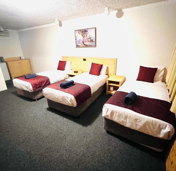 Отель Overlander Motor Lodge