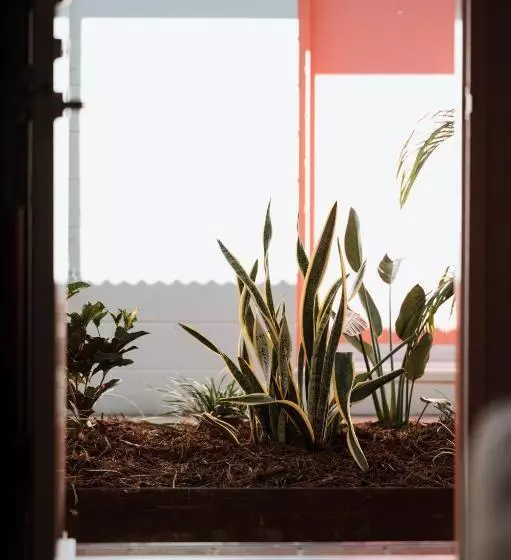 בית מלון כפרי The Continental