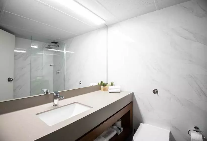 Madison Capital Executive Apartments