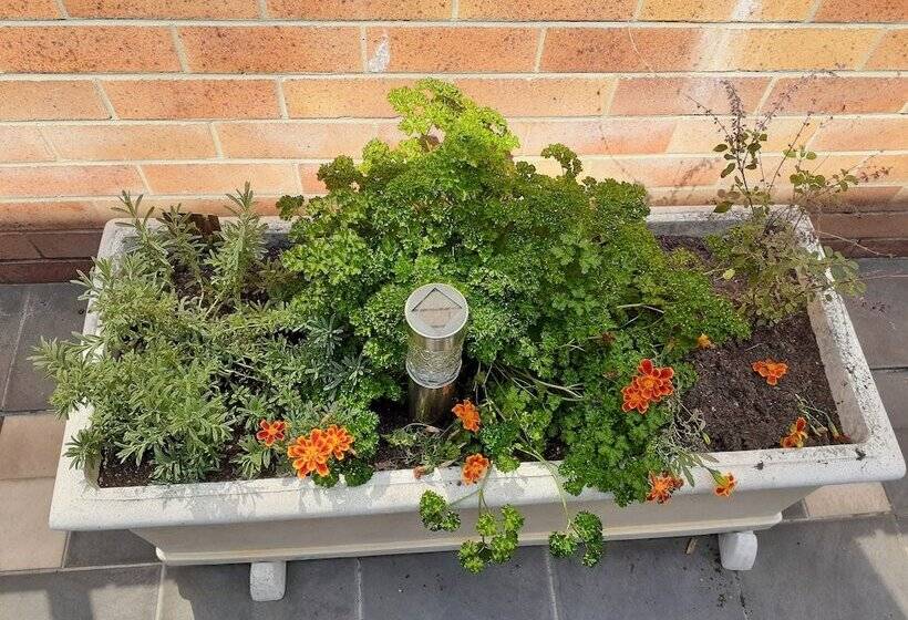 モーテル Citystar Lodge