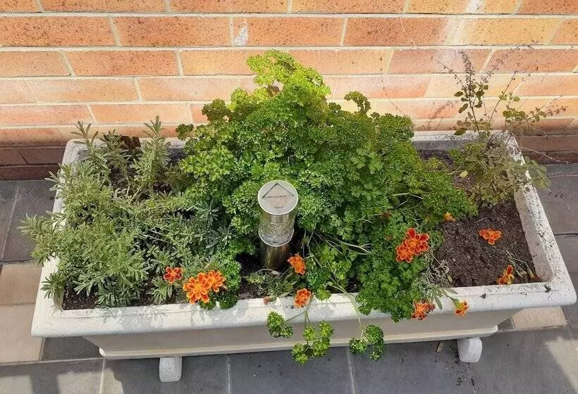 Мотель Citystar Lodge