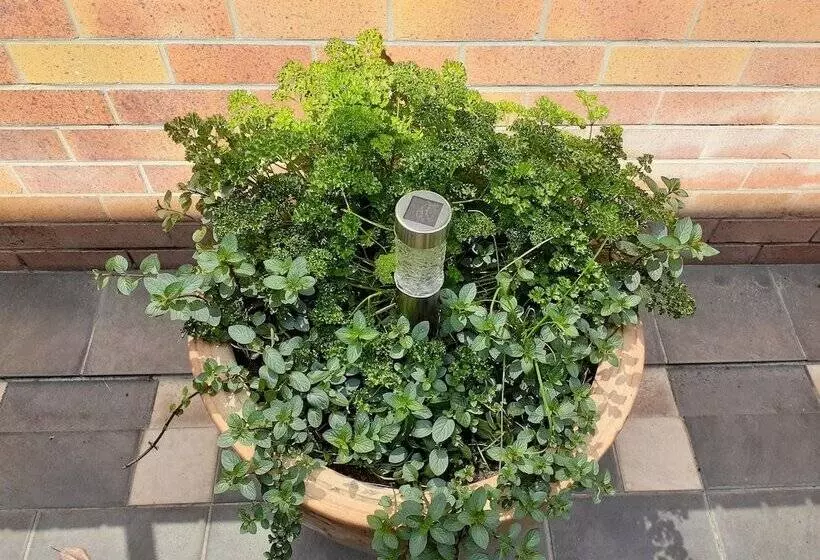 Мотель Citystar Lodge