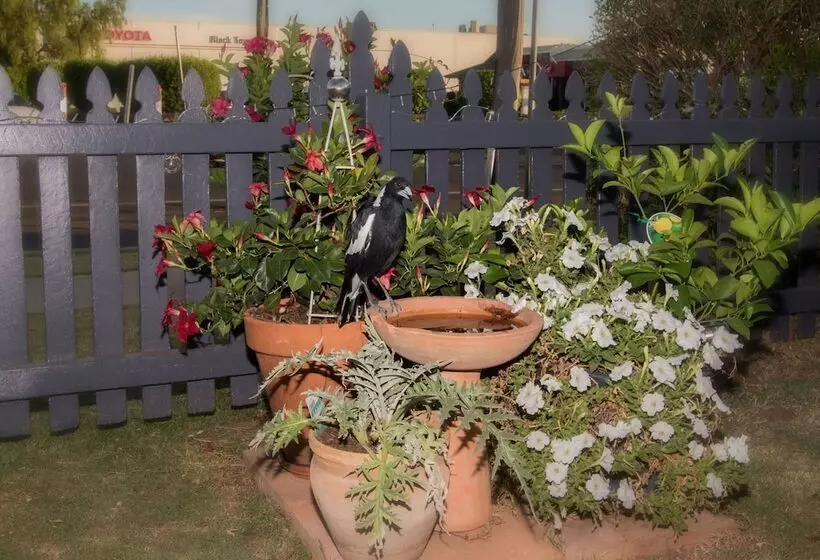 Мотель Country Pathfinder Motor Inn