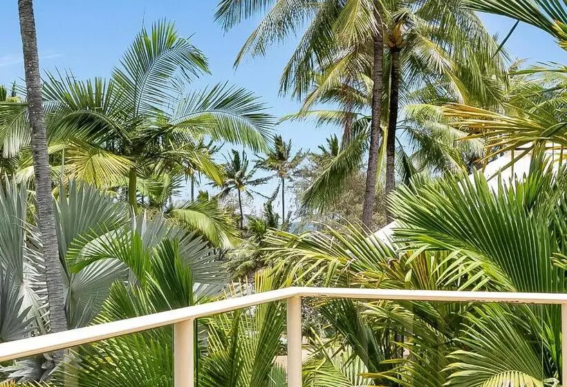 Driftwood Mantaray   Official Onsite Reception And Check In