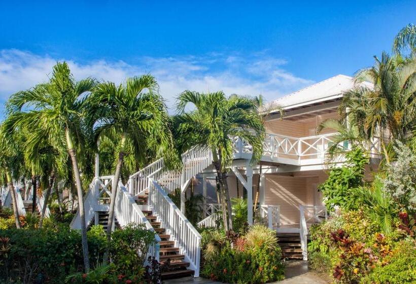 Galley Bay Resort & Spa