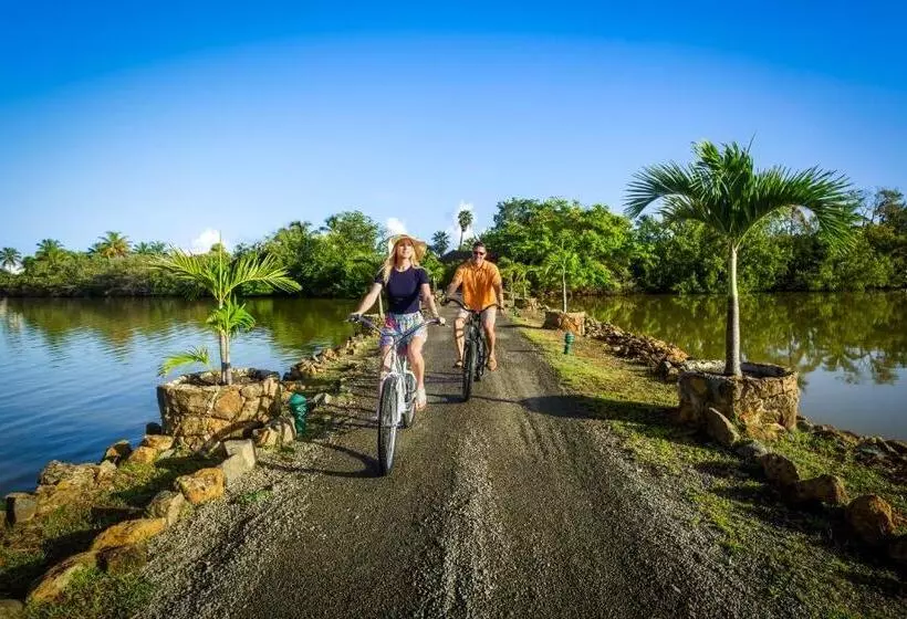 Galley Bay Resort & Spa