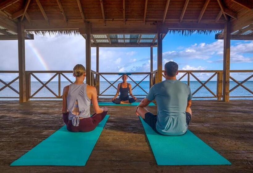 Galley Bay Resort & Spa